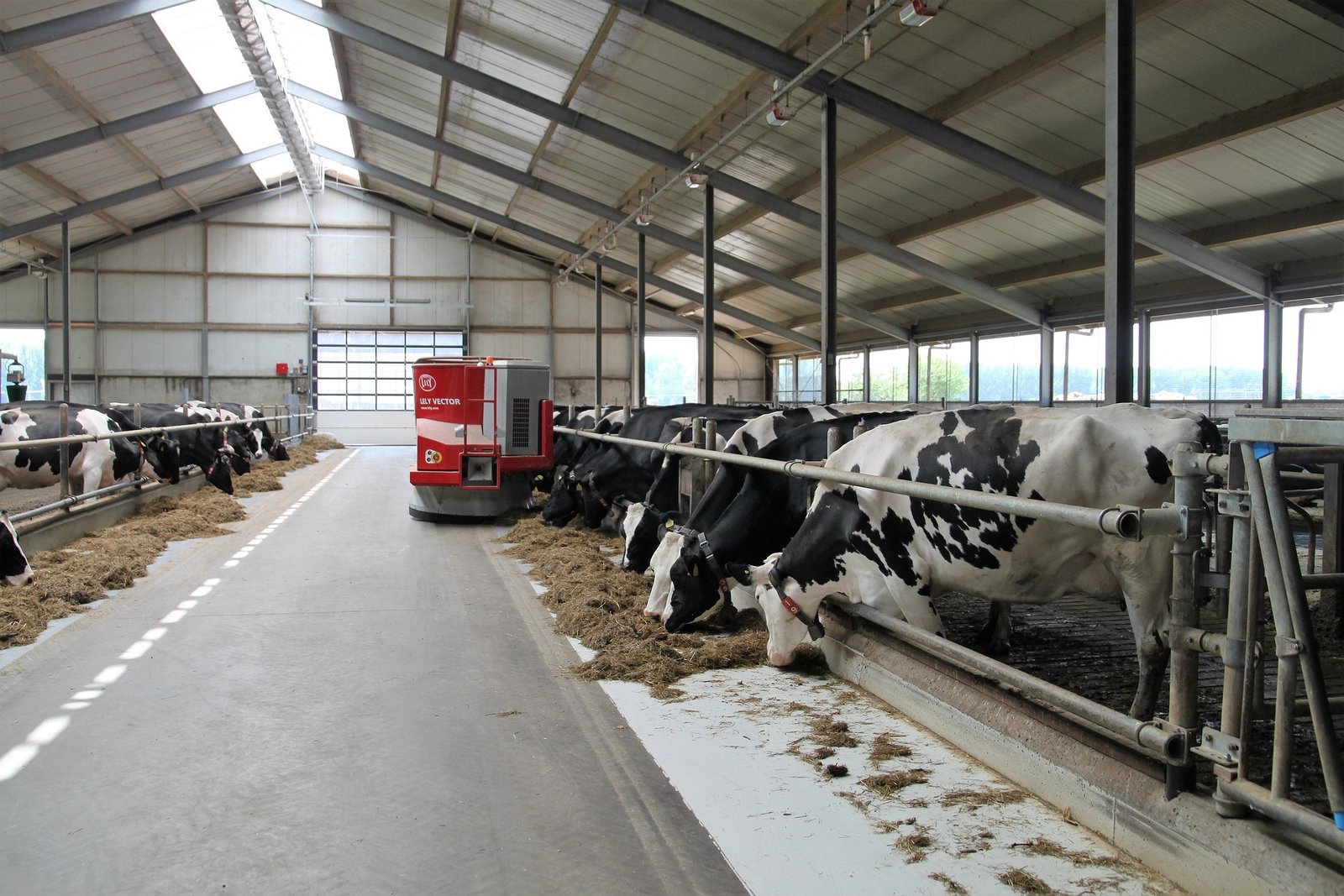 Dairy Farm Jobs in Canada (June 2026)