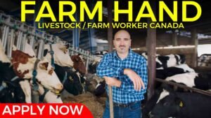 Farm Hand Livestock Farm Worker.jpg